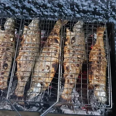 Vila Odisea فيلة بورغراديك